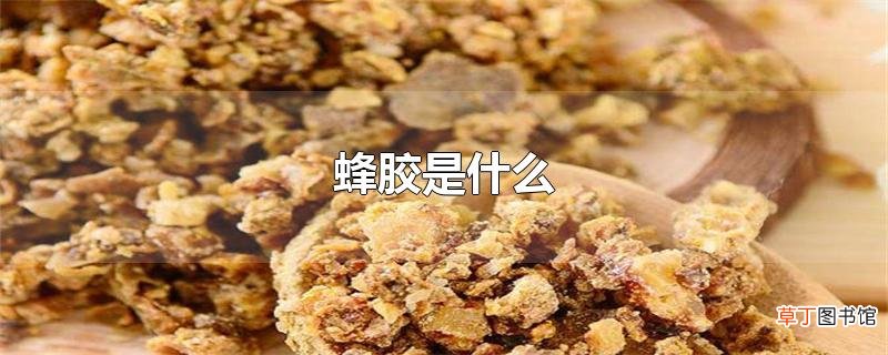 蜂胶是什么