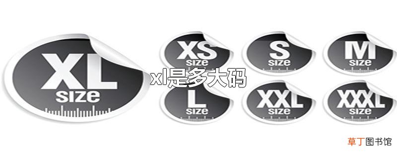 xl是多大码
