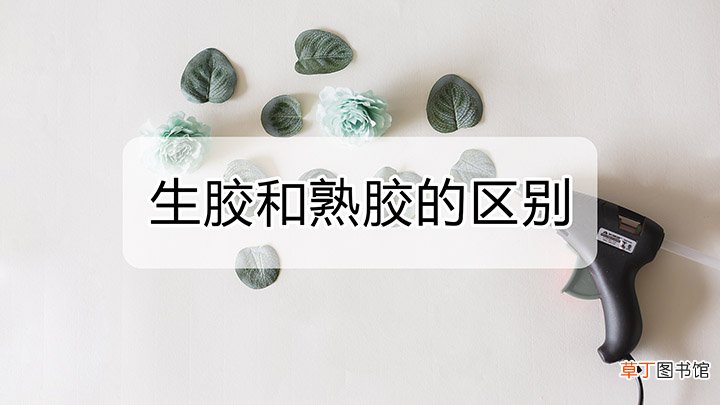 怎么区分生胶和熟胶