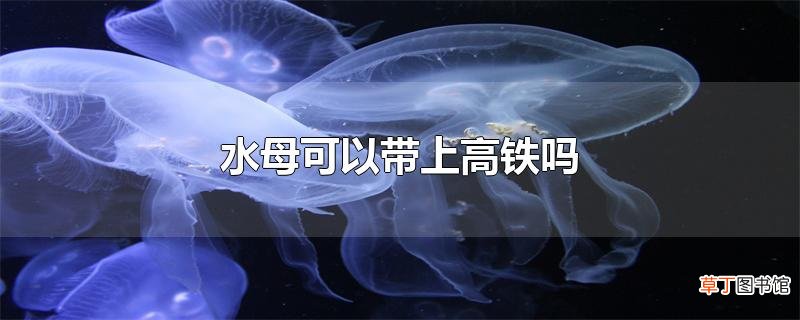 水母可以带上高铁吗