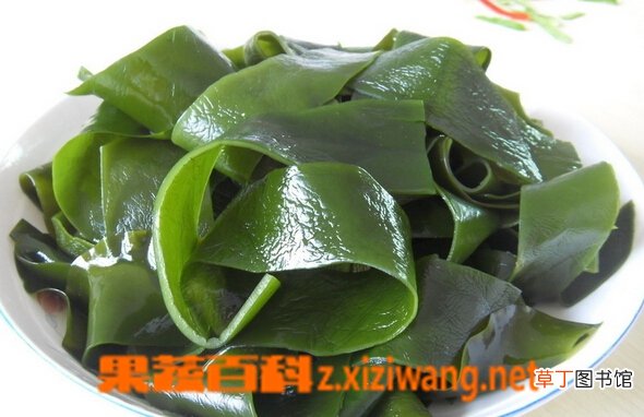 海带怎么煮容易烂 煮制海带的小窍门