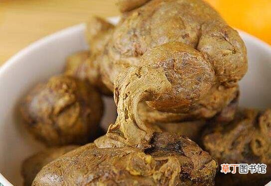自家蜂胶怎么处理可以吃 蜂胶的功效