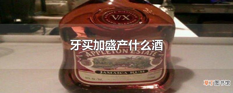 牙买加盛产什么酒
