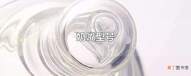 奶嘴型号