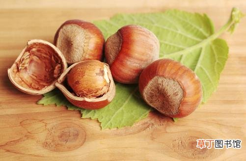 补肾食物8强榜 韭菜和腰子竟惨被淘汰