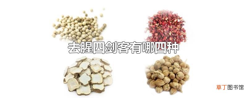 去腥四剑客有哪四种