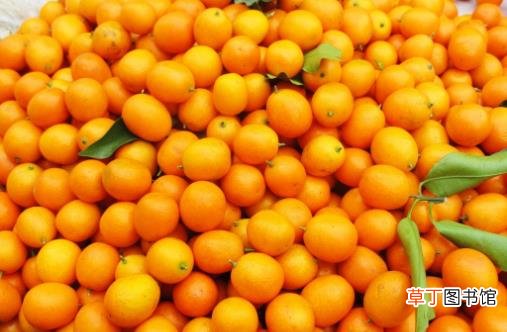 吃梨能止咳警惕越咳越厉害 利于止咳化痰的水果推荐