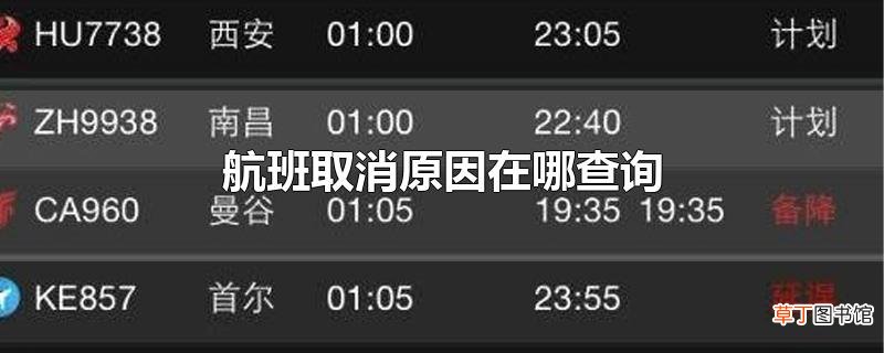 航班取消原因在哪查询