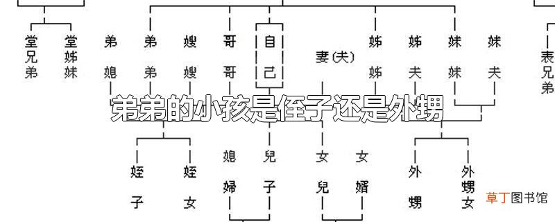 弟弟的小孩是侄子还是外甥