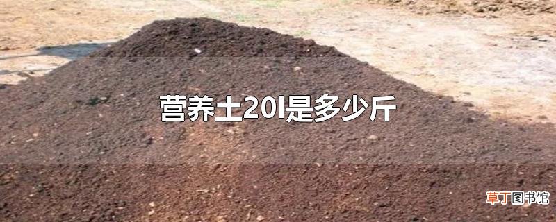 营养土20l是多少斤