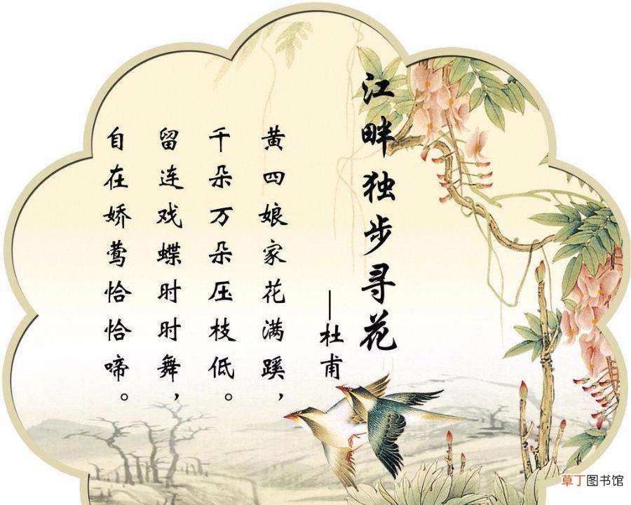 江畔独步寻花后两句交代了什么