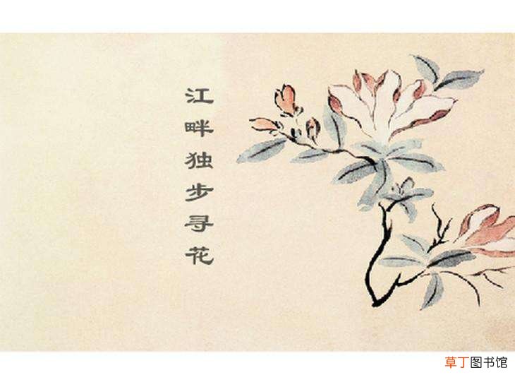 江畔独步寻花后两句交代了什么