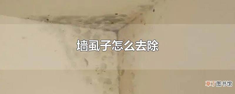墙虱子怎么去除