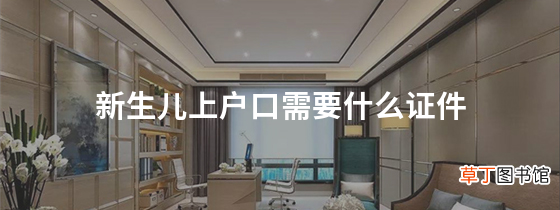 新生儿上户口需要什么证件