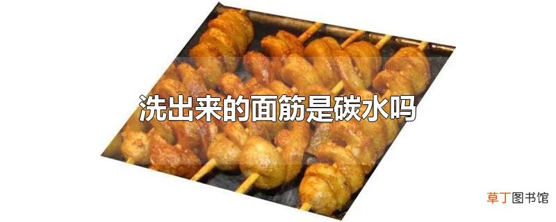 洗出来的面筋是碳水吗