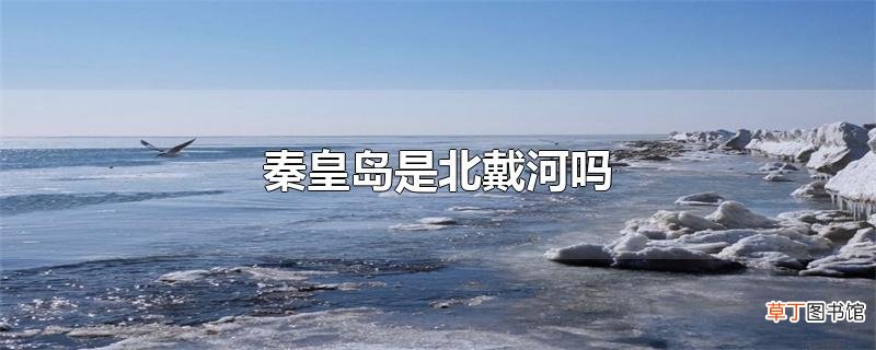 秦皇岛是北戴河吗