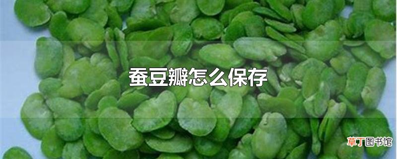 蚕豆瓣怎么保存