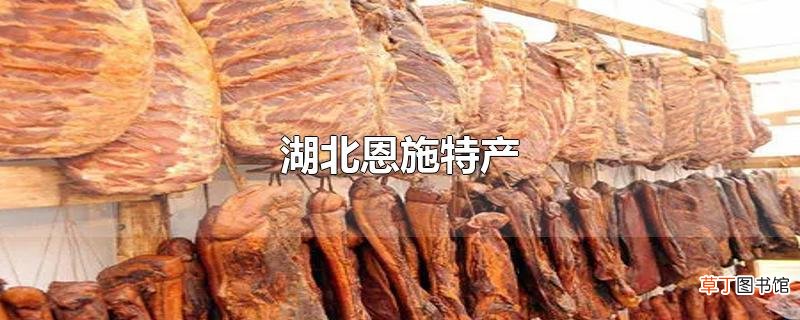 湖北恩施特产
