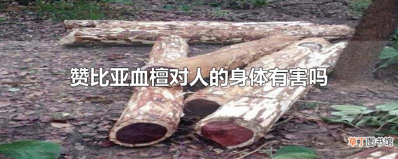 赞比亚血檀对人的身体有害吗