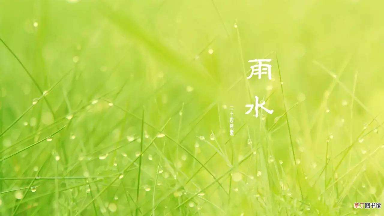 雨水时节诗词
