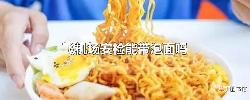 飞机场安检能带泡面吗