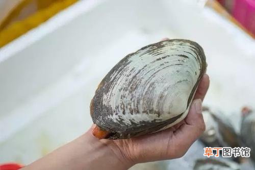 贝字旁的形声字有哪些