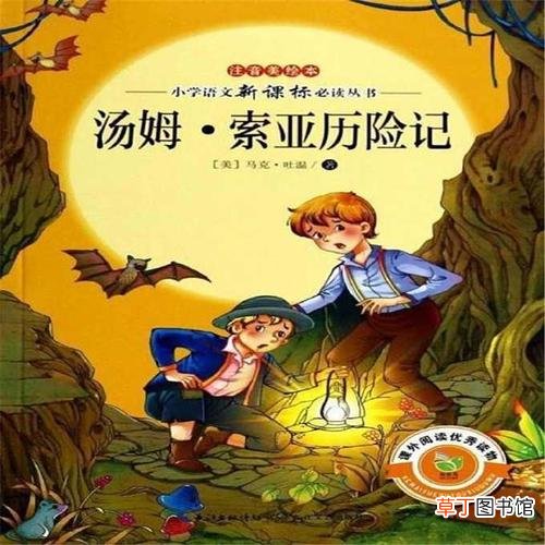 汤姆索亚历险记节选主要内容