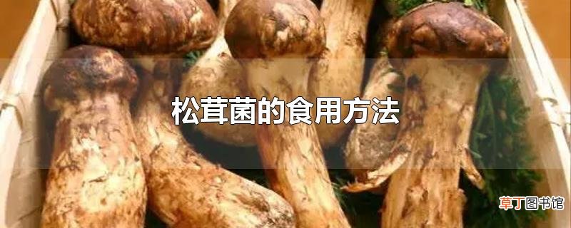 松茸菌的食用方法