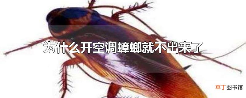 为什么开空调蟑螂就不出来了