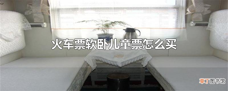 火车票软卧儿童票怎么买
