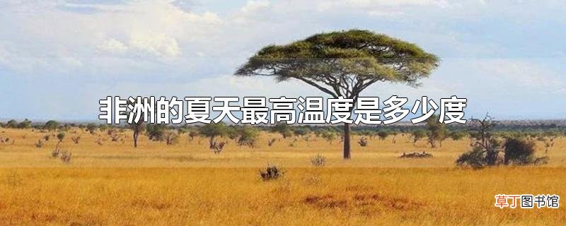 非洲的夏天最高温度是多少度