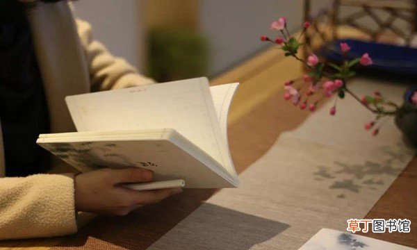 形容学问很高的成语