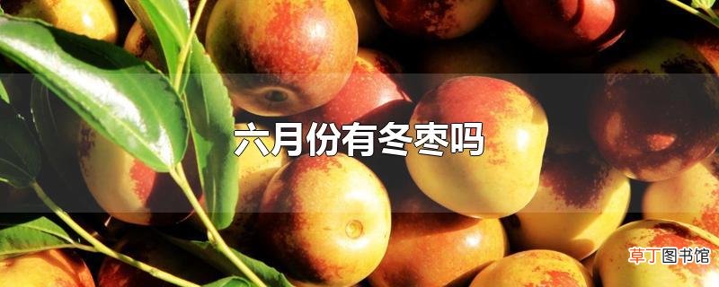 六月份有冬枣吗