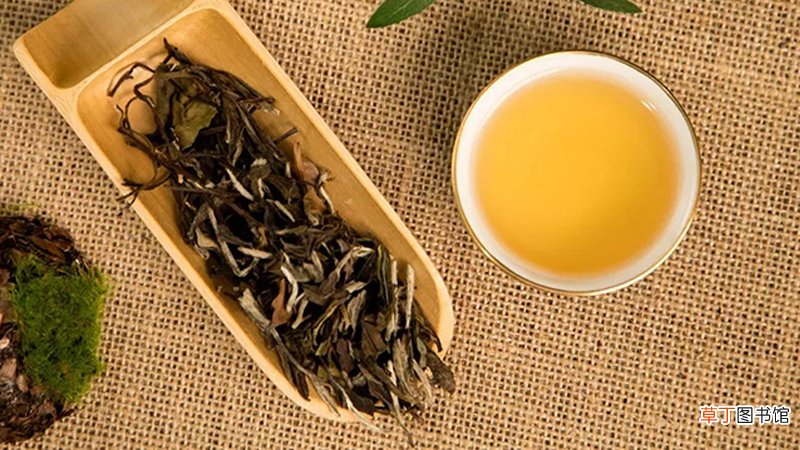 泡白茶的正确方法