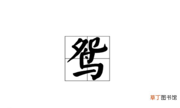鸳能组什么词两个字的