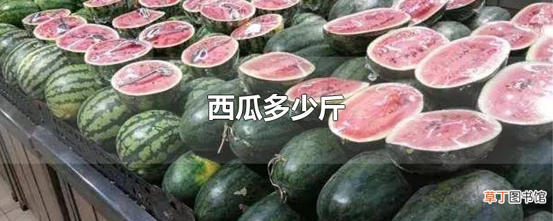 西瓜多少斤