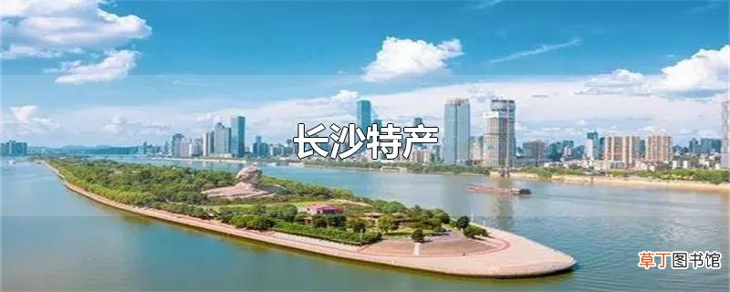 长沙特产