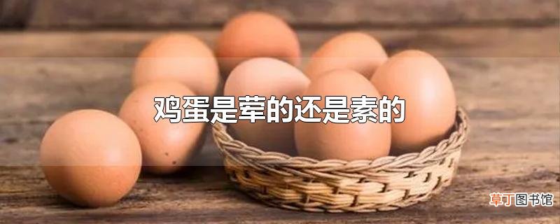 鸡蛋是荤的还是素的