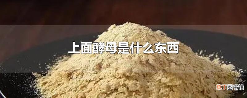 上面酵母是什么东西