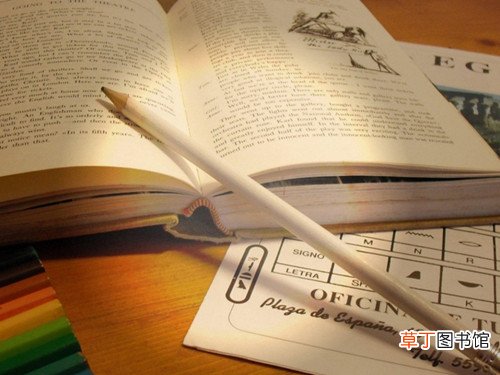 褐能组什么词
