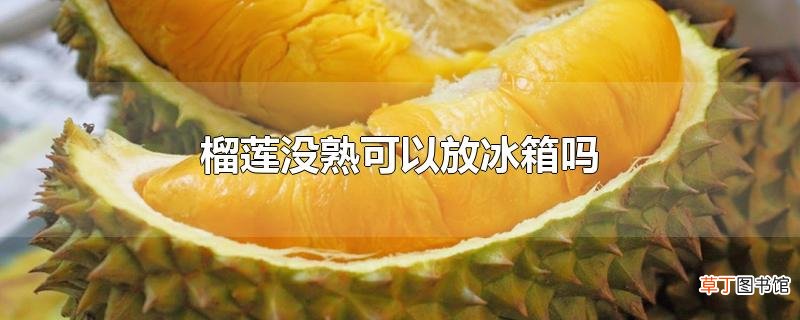 榴莲没熟可以放冰箱吗