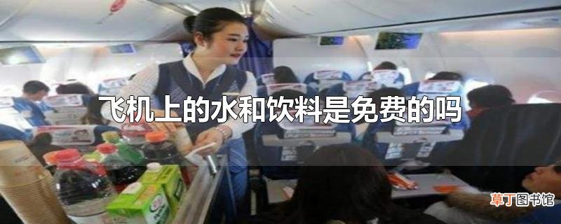 飞机上的水和饮料是免费的吗