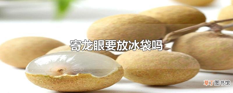 寄龙眼要放冰袋吗
