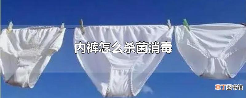 内裤怎么杀菌消毒