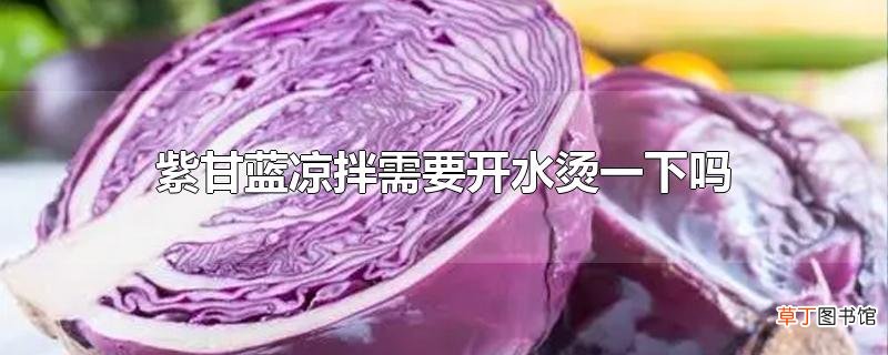 紫甘蓝凉拌需要开水烫一下吗