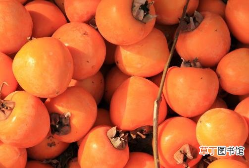 白萝卜炖蜂蜜止咳效果好 具有止咳功效的食物