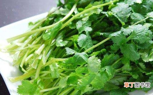 咳嗽不停痛苦不堪 咳嗽时的饮食禁忌