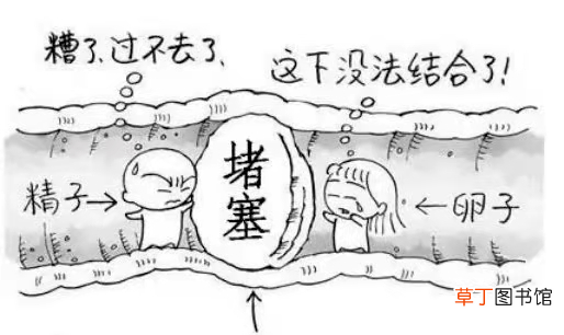 输卵管造影全程步骤