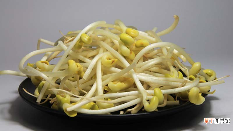 塑料桶怎样生豆芽