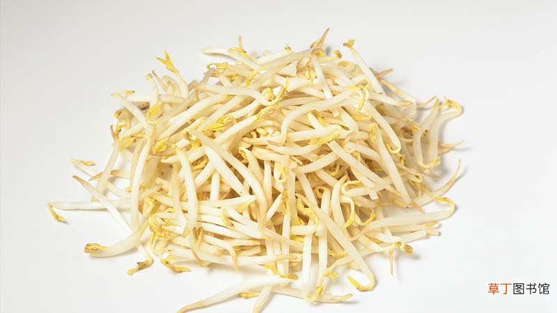 塑料桶怎样生豆芽